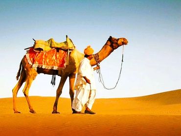 “Ride the ship of the desert, sail across golden sands.”