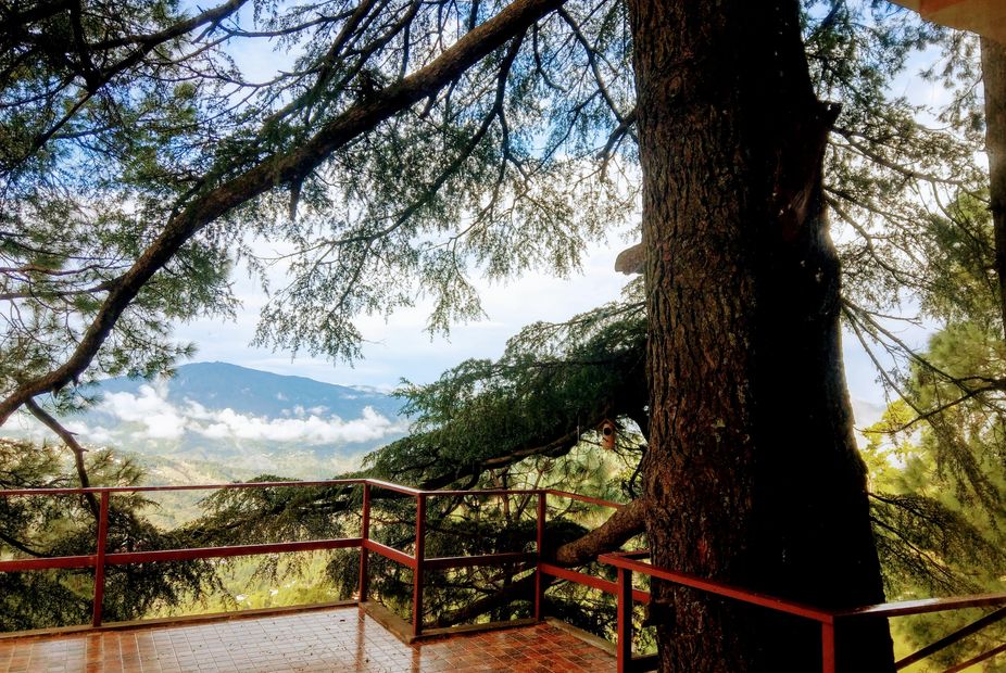 The Treehouse is designed to enhance the outdoor experience amidst all modern comforts