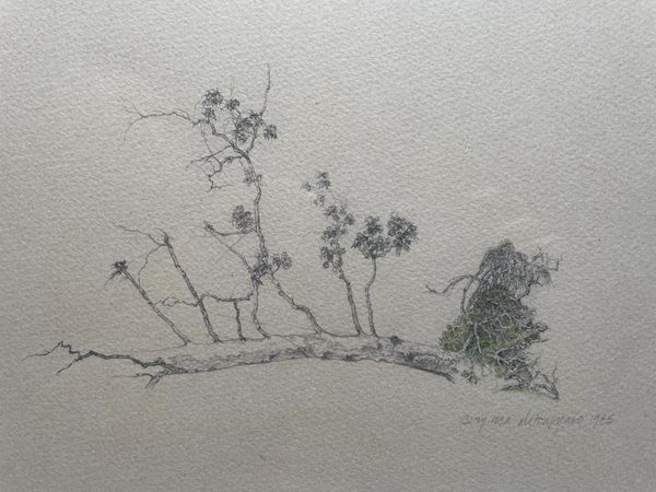 TACTILE ROOTS (Study)
1985
Image: 12" H x 20" L.
Watercolor, ink, pencil on paper