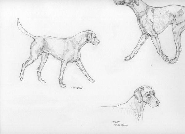 MAIDEN & PILOT
2005
Image: 9" H x 12" W
Pencil on paper