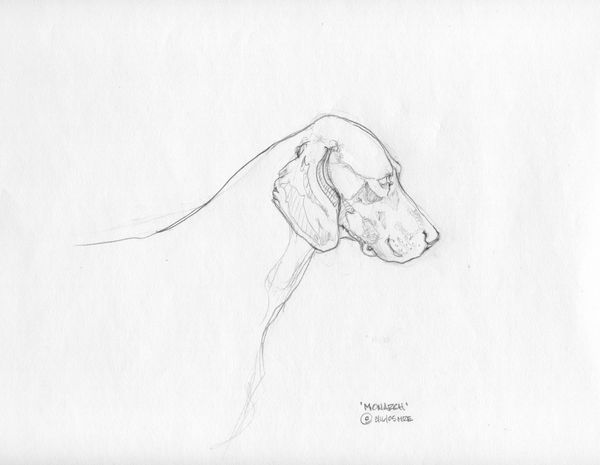 Monarch
2005
Image" 5 3/4" H x 5 1/4"W
Pencil on paper