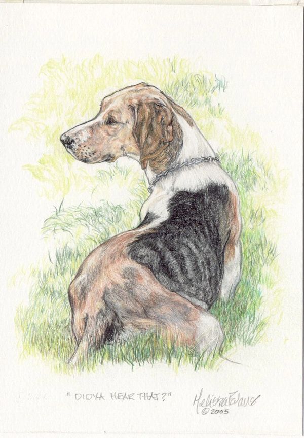 PISTOL (Didya' Hear That?)
2005
Image: 6" H x 4" W.
Watercolor pencil on paper