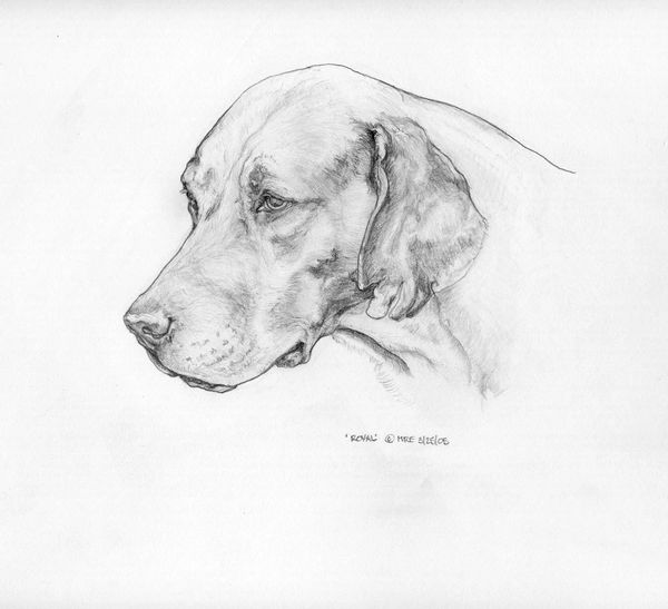 ROYAL (Portrait)
2005
Image: 5" H x 6 1/2" W
Pencil on paper