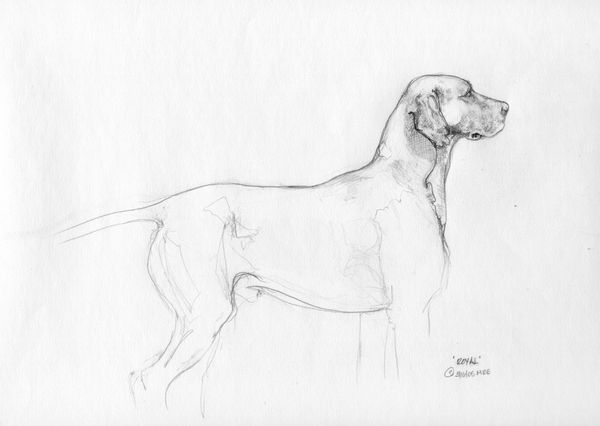 ROYAL (Body)
2005
Image: 14" H x 18" W
Pencil on paper