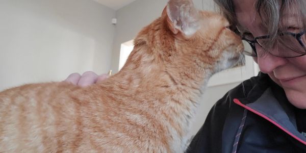 Headbutts from Cletus