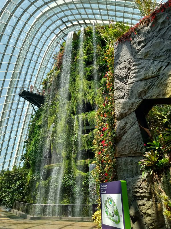 Waterfall inside Cloud Forest - Singapore.