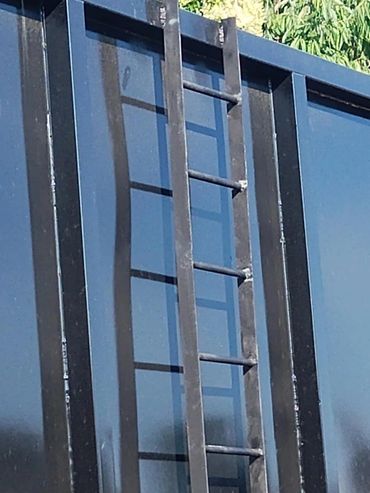 A metal ladder leaning against a reflective black surface with greenery in the background.