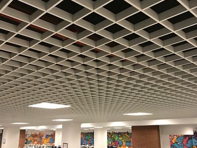Open Cell Ceiling System