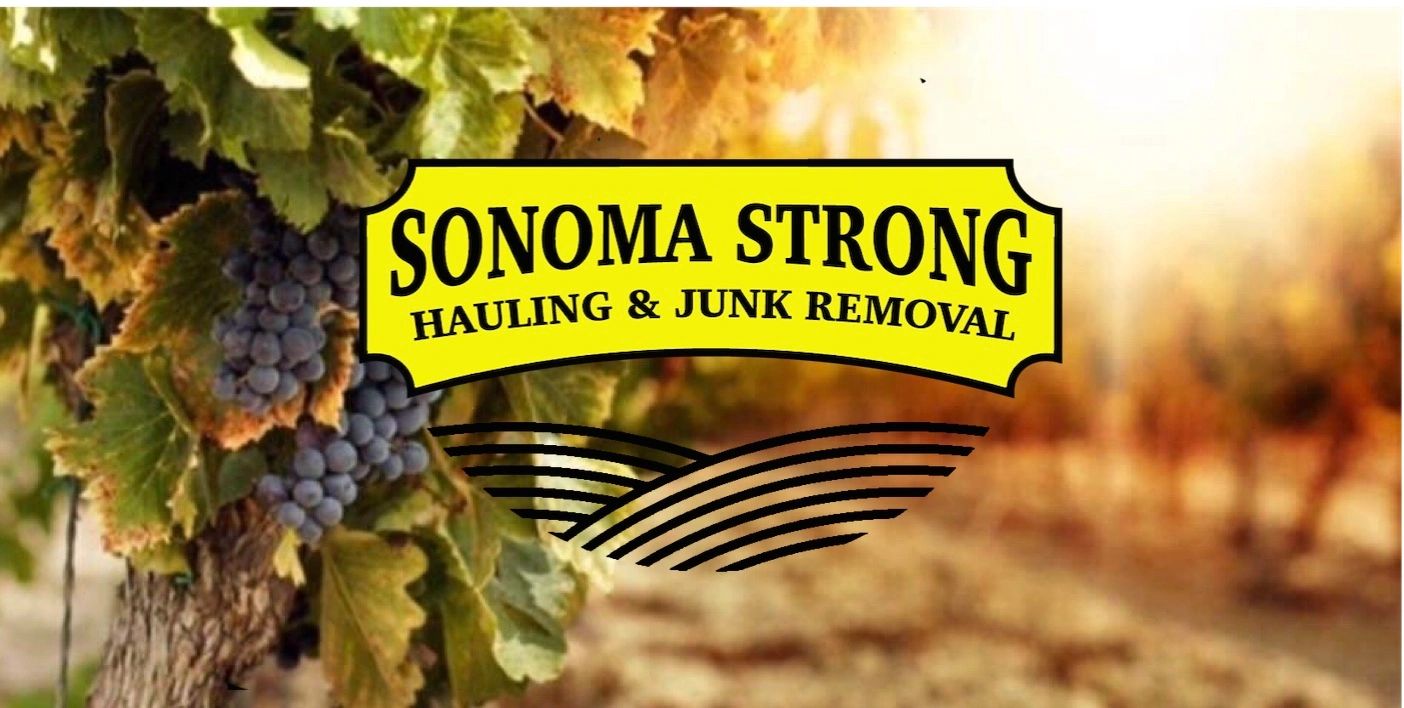 Best Santa Rosa junk removal Junk removal near me Cloverdale Rohnert Park Healdsburg Petaluma