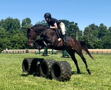Jumping horses for lease - Horse Jumping Lessons - Jump field NC