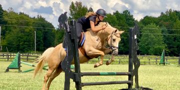 Horse jumping lessons on safe well schooled horses.  Jumping horses for lease