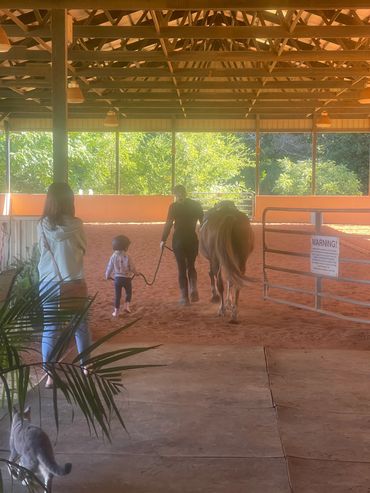 Children's horseback Riding Lessons - Rowan county NC 
Safety based curriculum