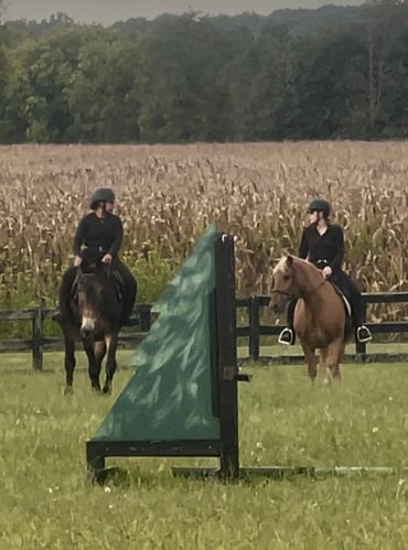 Emmitt and Murphy having a enjoyable ride at Folklore Fwrm NC
