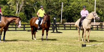 Youth and adult horseback riding lessons Cleveland NC