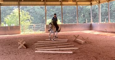 Fun over ground poles in covered arena at Folklore Farm Cleveland NC