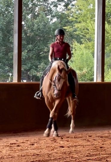 Horses for lease