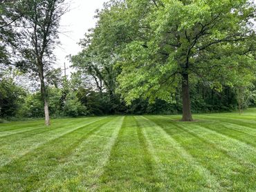 Beautiful stripes