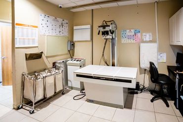 Picture of a lab