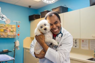 Picture of dog with man