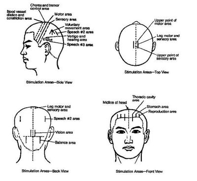 Diferents views of human head shows scalp acupuncture points - chinese medicine bristol