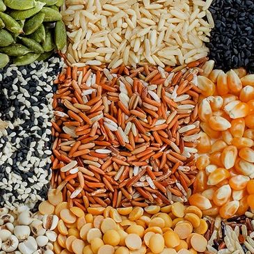 We use Organic Flour, Seeds, Grains, Peas, Beans, Quinoa and Lentils. Fresh Dairy Products Milk, But