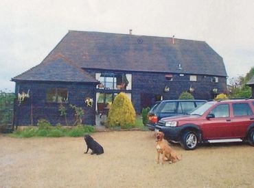 Labrador gun dog
Dog Training
Rhodesian ridgeback