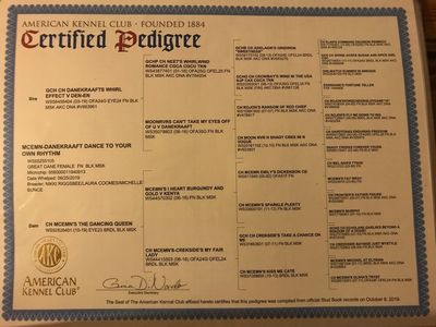 Tangos pedigree paper