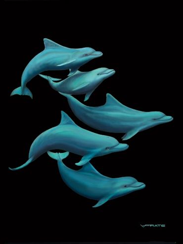 Dolphins Deep