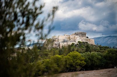 The Acropolis of Athens viewed behind an olive tree branch