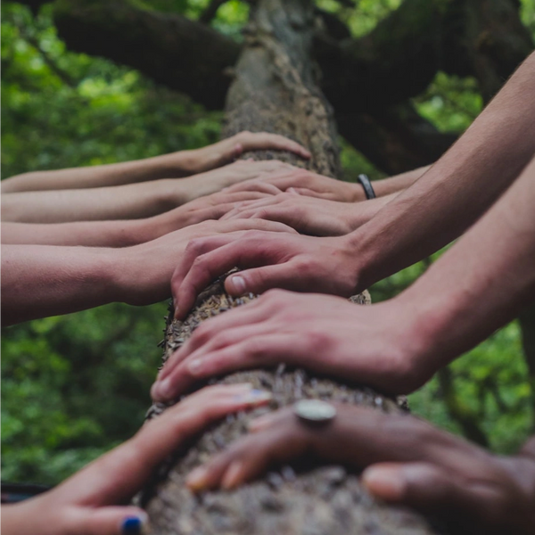 A variety of youth hands holding a tree trunk together