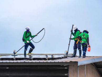 trabajadores profesionales del servicio de limpieza