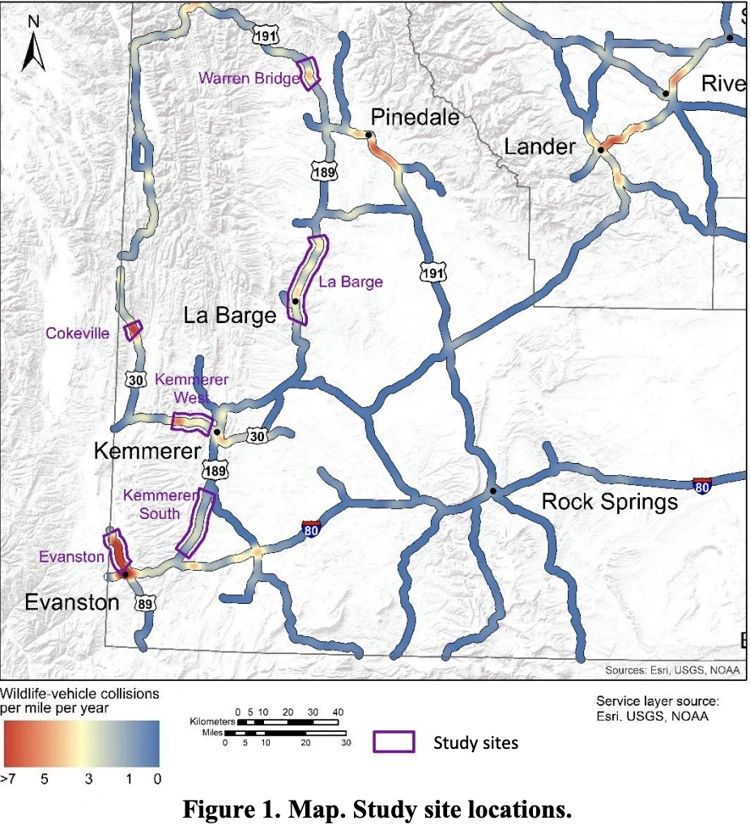 This map shows stretches of highway studied to see how — and if — speed-limit reductions affected vehicle-wildlife collisions. COURTESY IMAGE This map shows stretches of highway studied to see how — and if — speed-limit reductions affected vehicle-wildlife collisions. COURTESY IMAGE