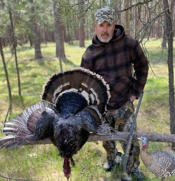 A hunter poses with a large turkey in a forest.