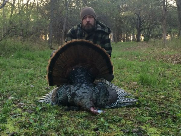 A man in a beanie and plaid jacket with a large wild turkey in a forest clearing.