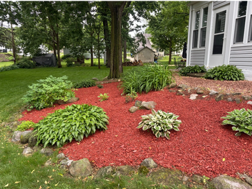 A neatly mulched garden bed with various green plants around a white house.
