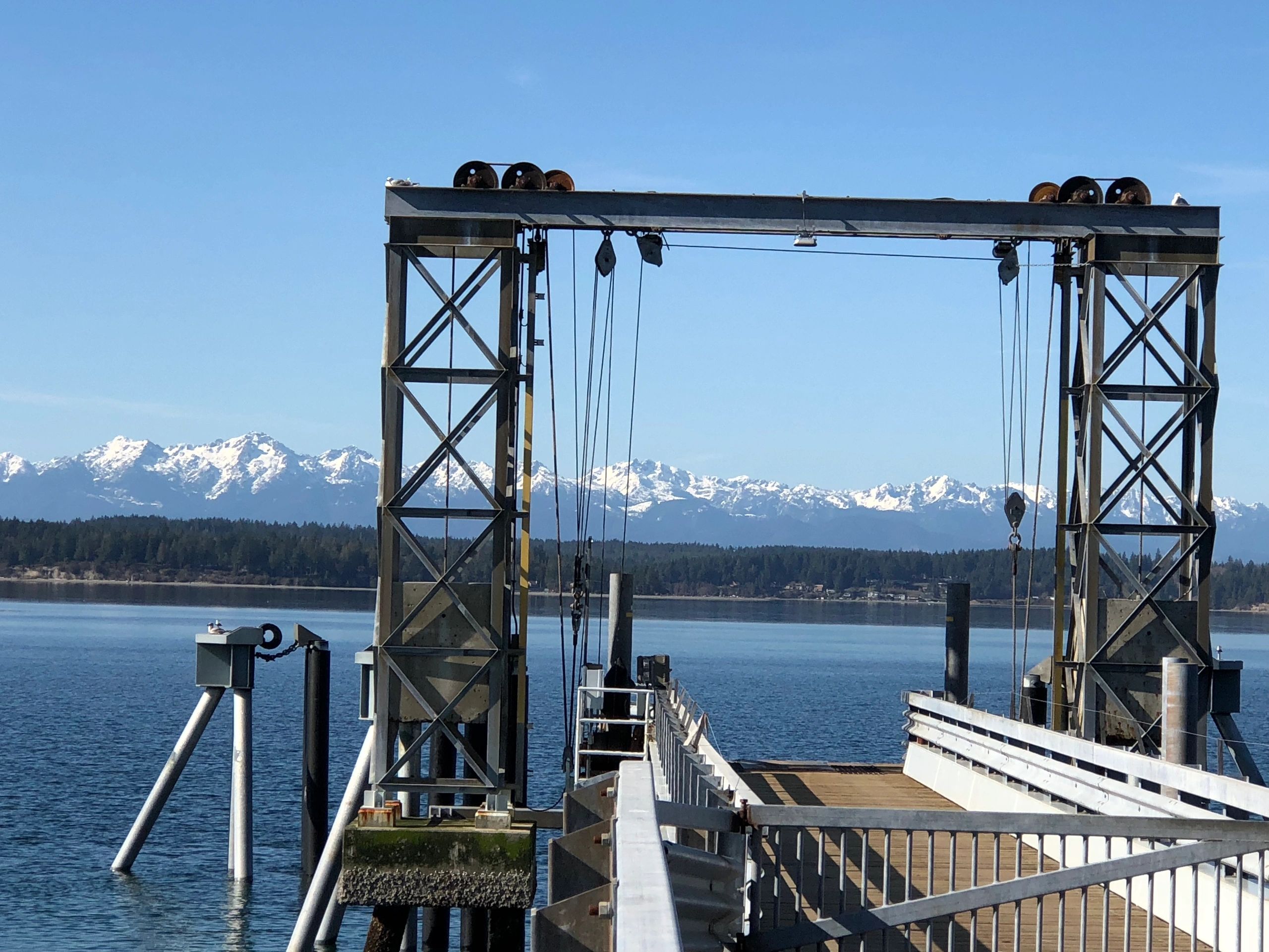 Herron Island Homes for Sale Discover Herron Island