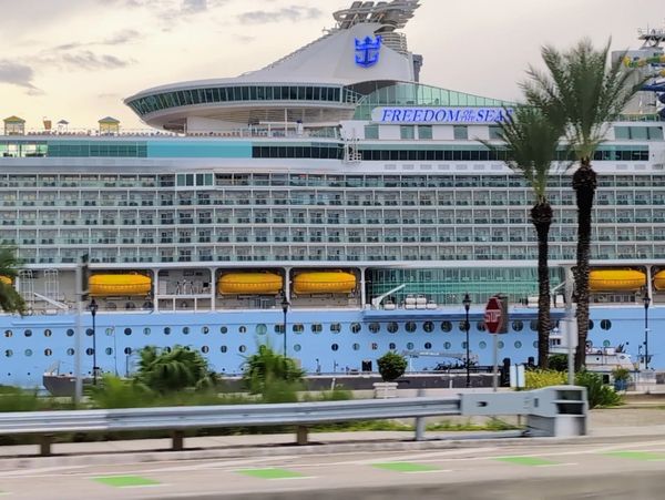 Freedom of the Seas