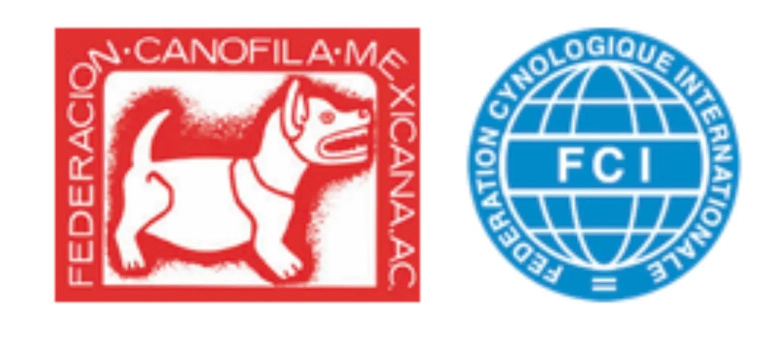 logo de federacion canofila mexicana y logo de federcion canofila internacional