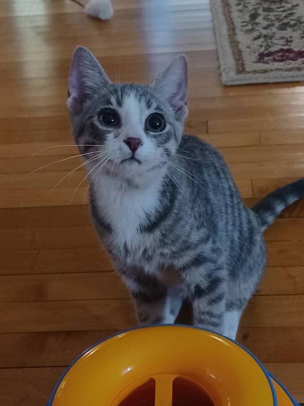 Ellie