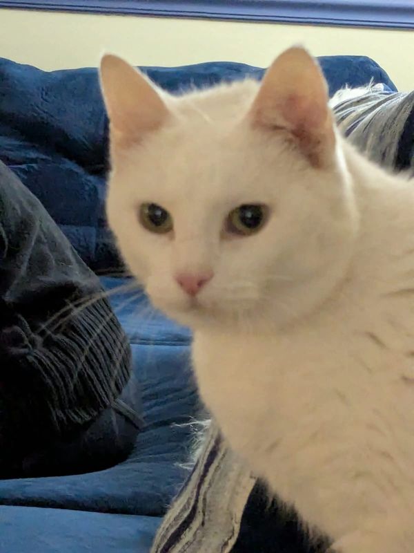 Kiki