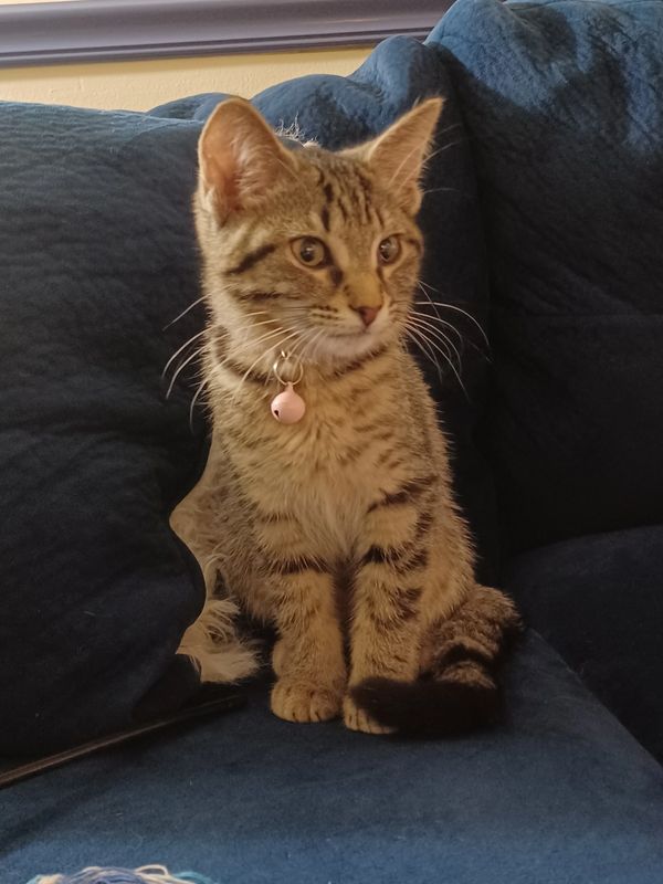 Lillian