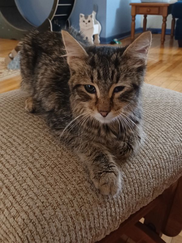 Milo