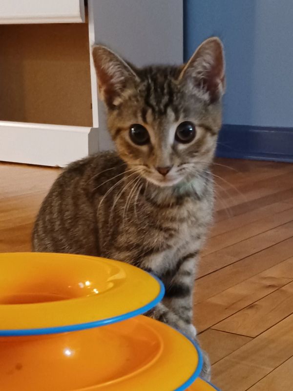 Moneypenny