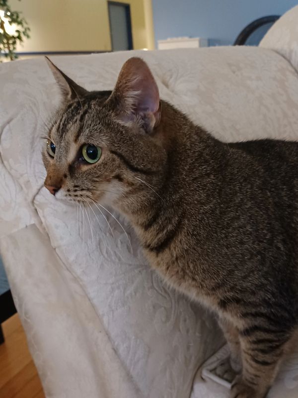 Ruby II