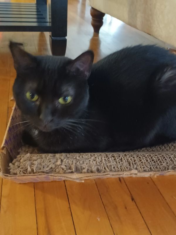 Winifred
