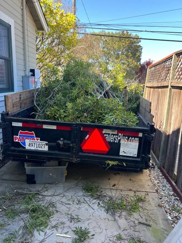 Trailer filled with cut tree branches and leaves.