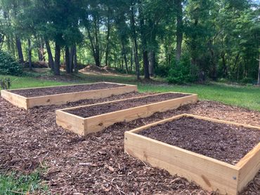 Raised bed gardens in Tallahassee, Florida.