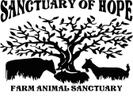 The Sanctuary of Hope Inc
