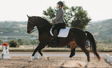 Equestrian rider performing dressage with a dark horse in an outdoor arena.