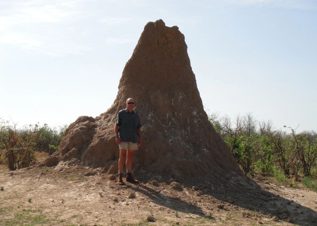 2009_Termite_Mound.JPG